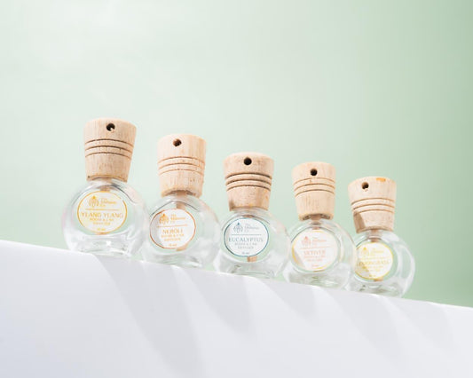 Room and Car Diffusers (5 Varieties)